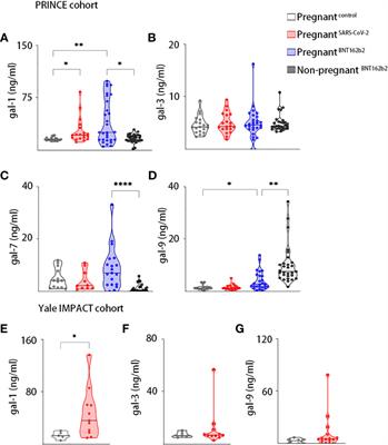 A unique maternal and placental galectin signature upon SARS-CoV-2 infection suggests galectin-1 as a key alarmin at the maternal–fetal interface